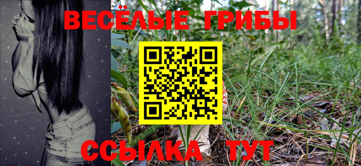 Галлюциногенные грибы Psilocybine cubensis Карачаевск