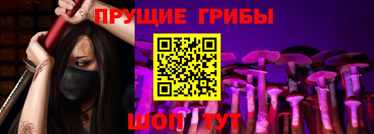 Галлюциногенные грибы Psilocybe  Вход с VPN  Псилоцибиновые грибы мицелий  Карачаевск 